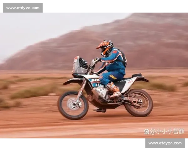 从小组赛到决赛！预测一路坎坷，但激情永不熄灭！