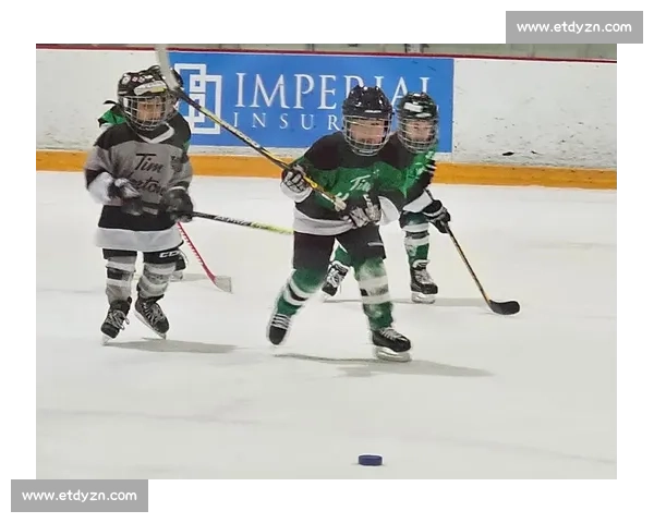 超越不可能!芬兰冰球少年改写年龄纪录,未来之星闪耀冰场! 超越不可能!芬兰冰球少年改写年龄纪录,未来之星闪耀冰场!